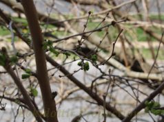 Global Art Gatherings: A Collector’s Guide Global Art Gatherings: A Collector’s Guide