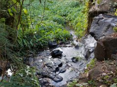 Uncovering Urban Art: Top Accessible Cities for Street Art and Exploration Uncovering Urban Art: Top Accessible Cities for Street Art and Exploration