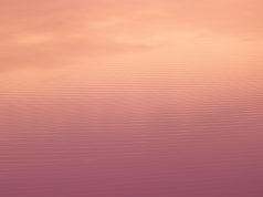 Yuletide Wanderlust: Exploring Top Xmas Markets Yuletide Wanderlust: Exploring Top Xmas Markets