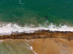 Wildly Fun: Top Family-Friendly Aquariums & Zoos Wildly Fun: Top Family-Friendly Aquariums & Zoos