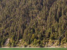 Mastering the Thrill: Downhill Longboarding & Skateboarding Guide Mastering the Thrill: Downhill Longboarding & Skateboarding Guide