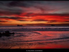 Up, Up, and Away: Family-Friendly Hot Air Balloon Destinations Up, Up, and Away: Family-Friendly Hot Air Balloon Destinations