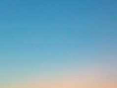 Shimmering Nights: Top Bioluminescent Destinations Shimmering Nights: Top Bioluminescent Destinations