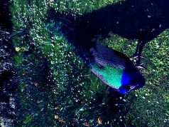 Toast to Adventure: Wine & Beer Tours Unveiled Toast to Adventure: Wine & Beer Tours Unveiled