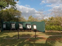 Wildlife Wonders: Top Spots for Birding & Animal Watching Wildlife Wonders: Top Spots for Birding & Animal Watching