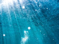 Unearthing Family Fun: Top Archaeological Sites Unearthing Family Fun: Top Archaeological Sites