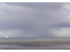 Making Waves: The Ultimate Open Water Race Guide Making Waves: The Ultimate Open Water Race Guide