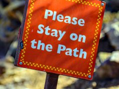 Shop with Ease: Top Accessible Cities Shop with Ease: Top Accessible Cities