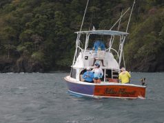 Wilderness Wonders: Family-Friendly Glamping Picks Wilderness Wonders: Family-Friendly Glamping Picks