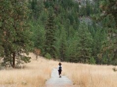 Explore with Ease: Top Family Travel Apps & Resources Explore with Ease: Top Family Travel Apps & Resources