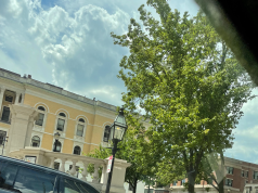 Hearing-Friendly Travel: Top Destinations Hearing-Friendly Travel: Top Destinations