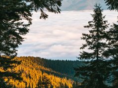 Travel Smart: Mastering Time & Organization Travel Smart: Mastering Time & Organization