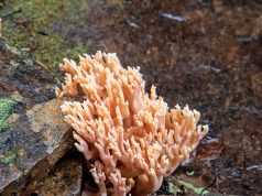 Jet-Setting Nuptials: Tips for Planning a Destination Wedding Jet-Setting Nuptials: Tips for Planning a Destination Wedding