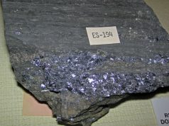 Global Gathering: Insider Tips for Festivals Abroad Global Gathering: Insider Tips for Festivals Abroad