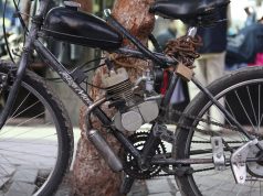 Unveiling Earth’s Exquisite Coral Havens Unveiling Earth’s Exquisite Coral Havens