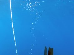 Unveiling Nature’s Majestic Cascades: World’s Best Waterfalls Unveiling Nature’s Majestic Cascades: World’s Best Waterfalls