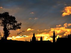 Single Parent’s Travel Bible: Family-Friendly Tips Single Parent’s Travel Bible: Family-Friendly Tips