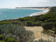 Unforgettable Outdoor Adventures: Accessible Camping & Glamping Unforgettable Outdoor Adventures: Accessible Camping & Glamping