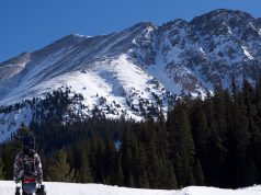 Farm Fun for Families: Top Agritourism Picks Farm Fun for Families: Top Agritourism Picks