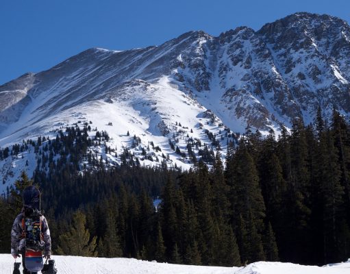 Farm Fun for Families: Top Agritourism Picks Farm Fun for Families: Top Agritourism Picks