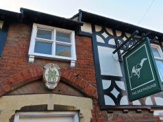 Uncover Global Good: Top Accessible Volunteer Projects Uncover Global Good: Top Accessible Volunteer Projects