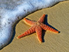 Unearthing the Depths: A Guide to Epic Cave Adventures Unearthing the Depths: A Guide to Epic Cave Adventures