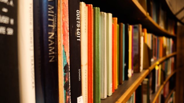 rolling-into-adventure-accessible-road-trips-scenic-drives.jpg Rolling into Adventure: Accessible Road Trips & Scenic Drives