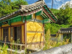 Global Celebrations: Top Cultural Festivals Global Celebrations: Top Cultural Festivals