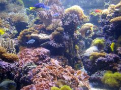 Exploring the Globe: Unforgettable Family Learning Adventures Exploring the Globe: Unforgettable Family Learning Adventures