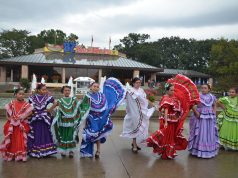 Roaming the Roads: A Guide to Alternative Transport Roaming the Roads: A Guide to Alternative Transport