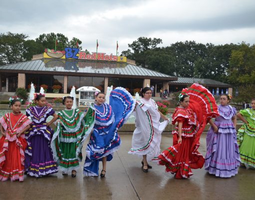 Roaming the Roads: A Guide to Alternative Transport Roaming the Roads: A Guide to Alternative Transport