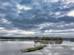 River & Jungle Adventures: Your Ultimate Guide River & Jungle Adventures: Your Ultimate Guide