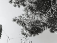 Journey Through UNESCO’s Intangible Treasures Journey Through UNESCO’s Intangible Treasures