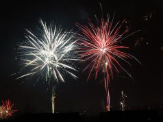 Film Fest Frenzy: A Guide to Navigating the Best Film Fest Frenzy: A Guide to Navigating the Best