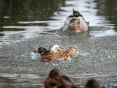 Unlocking Unforgettable Adventures: Choosing Top Tours Unlocking Unforgettable Adventures: Choosing Top Tours