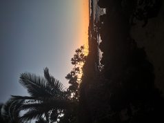 Fairways for All: Top Accessible Golf Destinations Fairways for All: Top Accessible Golf Destinations