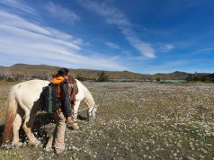 Jet-Setting for Work: Expert Tips Jet-Setting for Work: Expert Tips