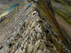 Leap into Adventure: The Ultimate Bungee & Bridge Guide Leap into Adventure: The Ultimate Bungee & Bridge Guide