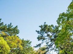 Greener Pastures: Top Cities for Accessible Parks Greener Pastures: Top Cities for Accessible Parks