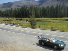 Unlocking Authentic Adventures: Local Guides & Experts Unlocking Authentic Adventures: Local Guides & Experts