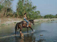 Crafting Your Dream Trip: The Ultimate Itinerary Guide Crafting Your Dream Trip: The Ultimate Itinerary Guide