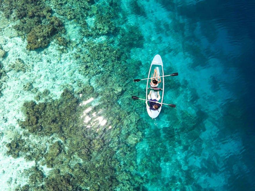 Diving into the Depths of the Great Barrier Reef