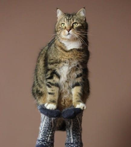 Balancing Act: Preserving Traditions Amid Tourist Waves