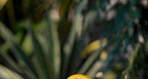 Exploring Poverty: A Vacation Dilemma for Families Exploring Poverty: A Vacation Dilemma for Families