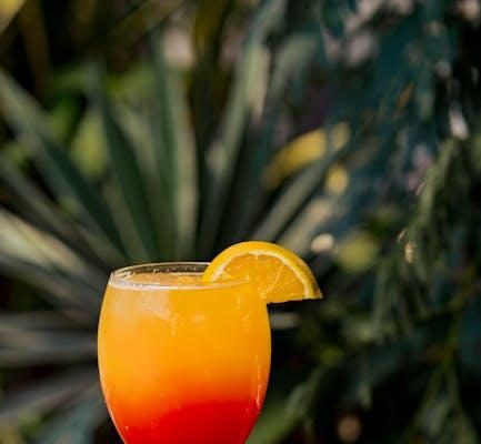 Exploring Poverty: A Vacation Dilemma for Families Exploring Poverty: A Vacation Dilemma for Families