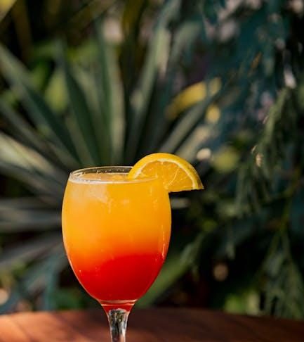 Exploring Poverty: A Vacation Dilemma for Families