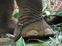 Tourism’s Impact on Cultural Heritage: Harm or Harmony? Tourism’s Impact on Cultural Heritage: Harm or Harmony?