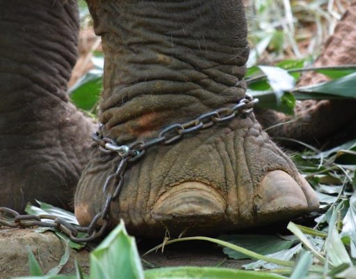 Tourism’s Impact on Cultural Heritage: Harm or Harmony? Tourism’s Impact on Cultural Heritage: Harm or Harmony?