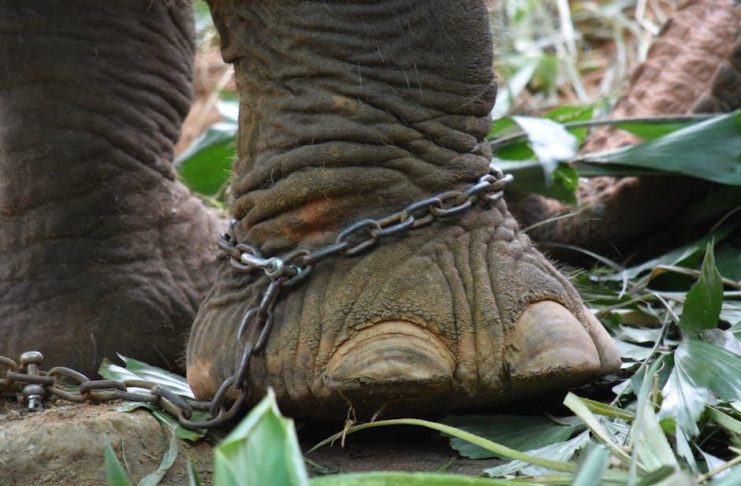 Tourism’s Impact on Cultural Heritage: Harm or Harmony?