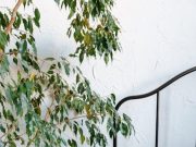 Balancing Care: Independence vs. Reliance for the Disabled Balancing Care: Independence vs. Reliance for the Disabled